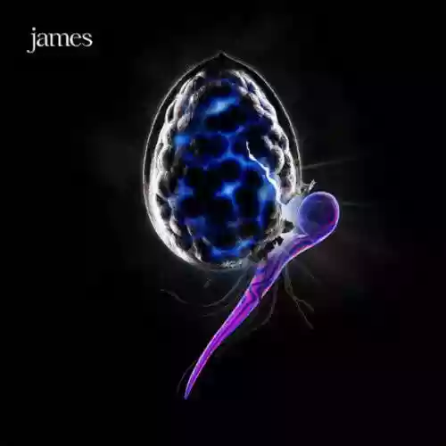 Cover James - The Night Before