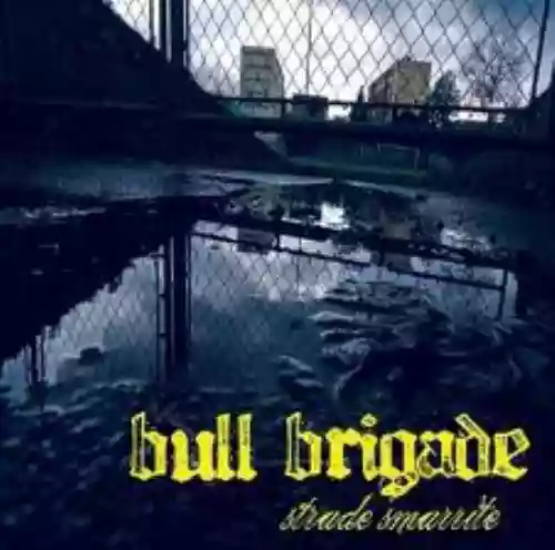 Cover Bull Brigade - Strade smarrite
