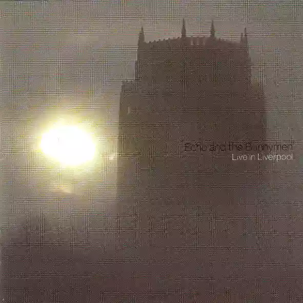 echo & the bunnymen: never stop: live in liverpool