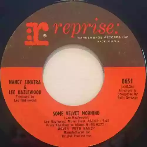 Cover Nancy Sinatra - Some Velvet Morning / Oh Lonesome Me