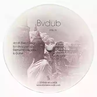 Bvdub: A Silent Reign