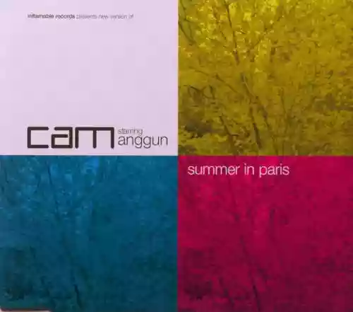 Cover DJ Cam - Summer in Paris