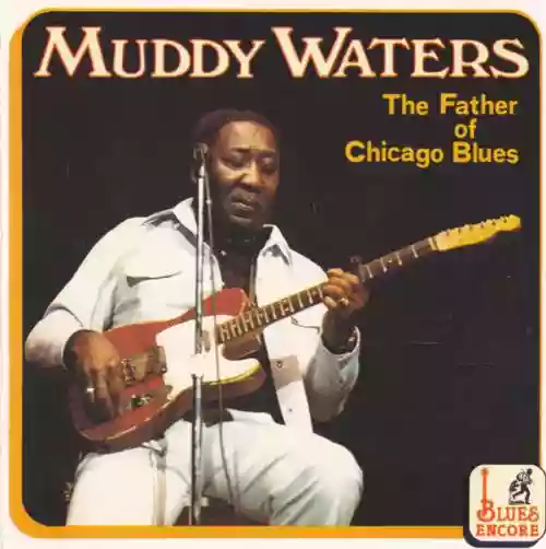 Cover Muddy Waters - The Father of Chicago Blues