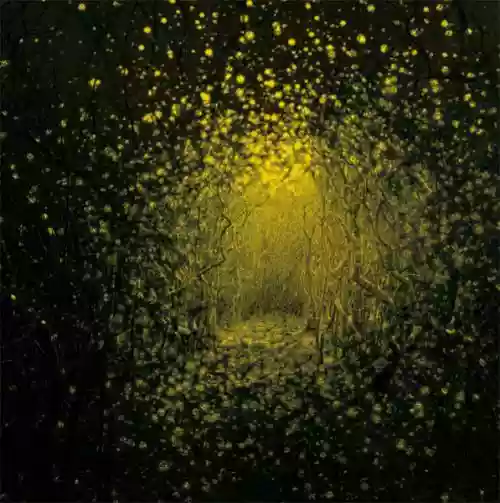 Cover The Antlers - Burst Apart