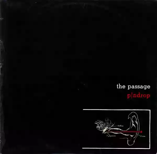The Passage: Pindrop