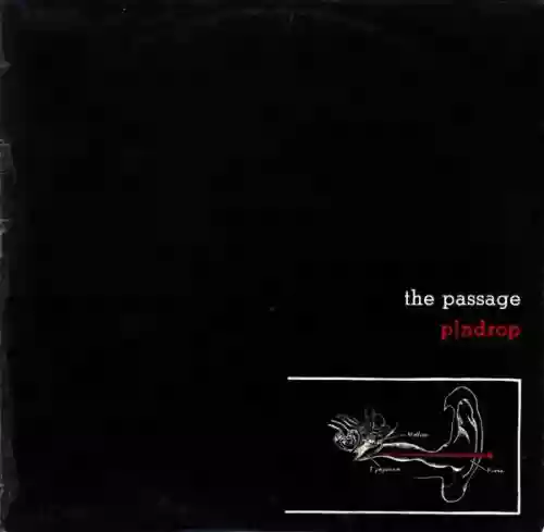 Cover The Passage - Pindrop