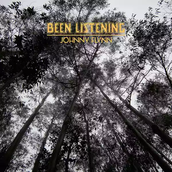 Johnny Flynn: Been Listening