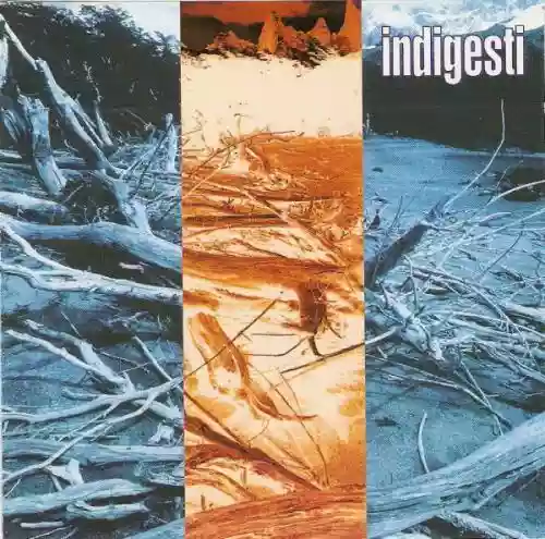 Cover di In disparte