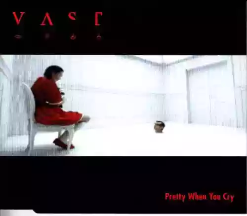 Cover VAST - Pretty When You Cry