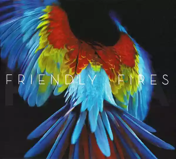 Friendly Fires: Pala