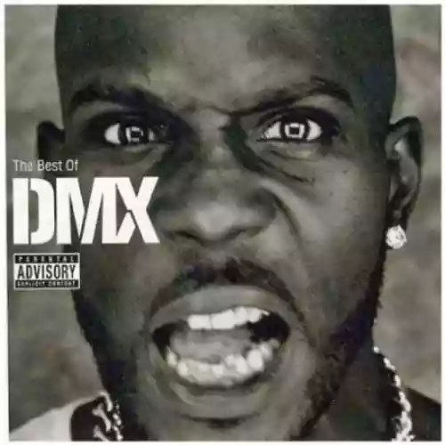 Cover di The Best of DMX