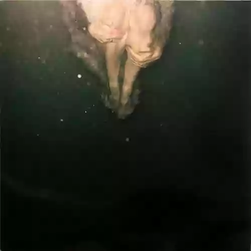 Cover Wye Oak - Civilian