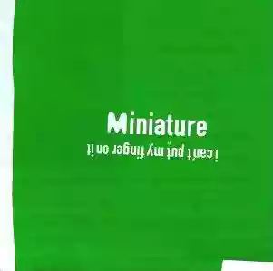 Miniature: I Can't Put My Finger on It