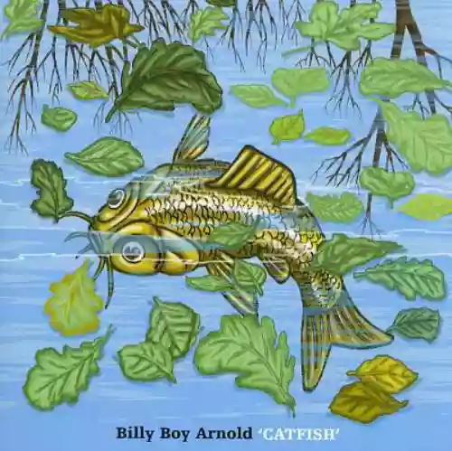 Cover Billy Boy Arnold - Catfish