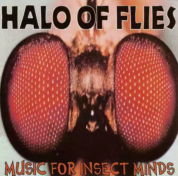 Halo Of Flies: Music For Insect Minds