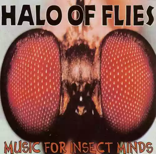 Cover di Music for Insect Minds