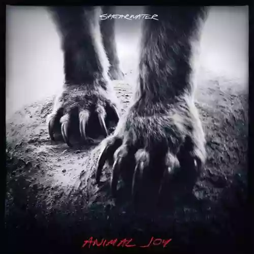 Cover Shearwater - Animal Joy