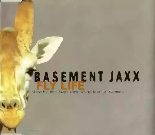 Cover Basement Jaxx - Fly Life