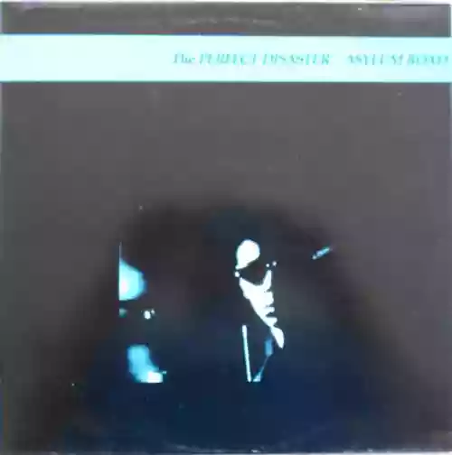 Cover The Perfect Disaster - Asylum Road