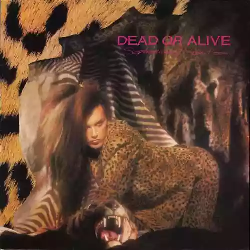 Cover Dead or Alive - Sophisticated Boom Boom