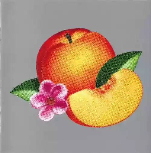 Cover di Bankrupt!