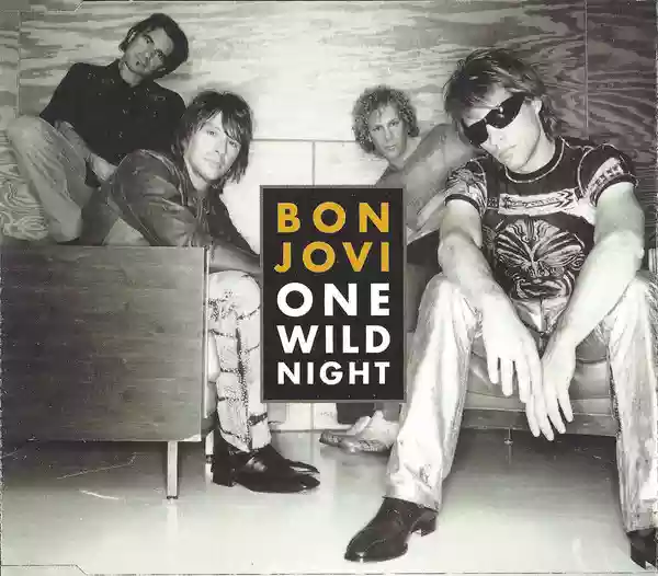 Bon Jovi: One Wild Night