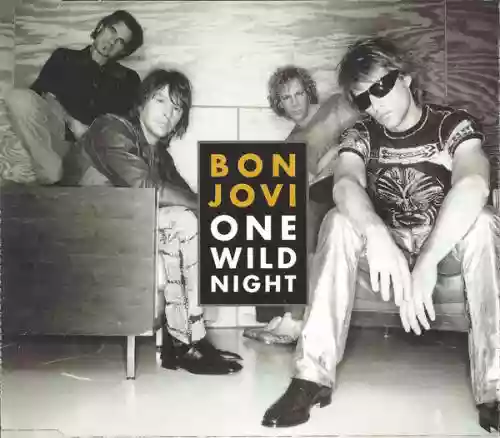 Cover di One Wild Night