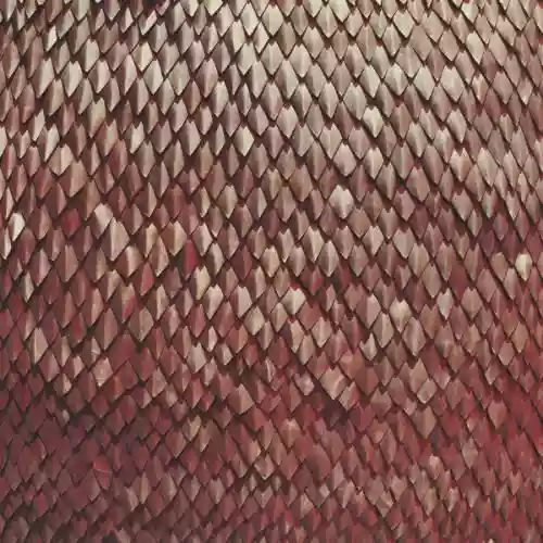 Cover Kill the Vultures - Carnelian