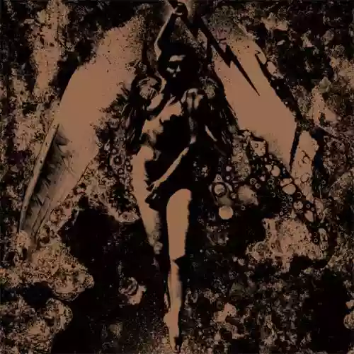 Cover di Converge / Napalm Death