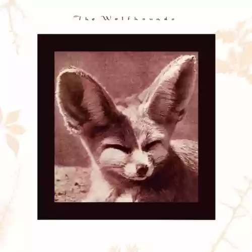 Cover The Wolfhounds - Cruelty
