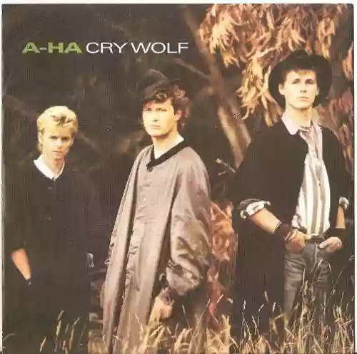 Cover di Cry Wolf