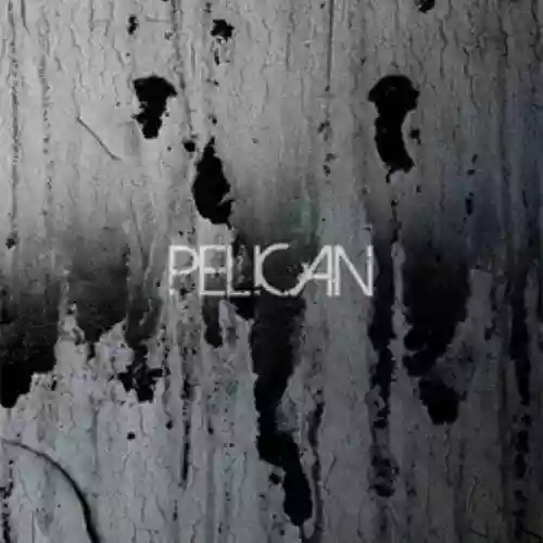 Cover Pelican - Deny the Absolute