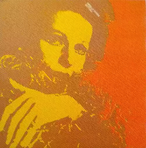 Cover di Dettagli