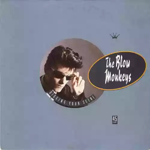 Cover The Blow Monkeys - Digging Your Scene