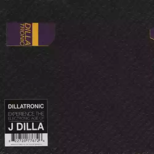 Cover di Dillatronic