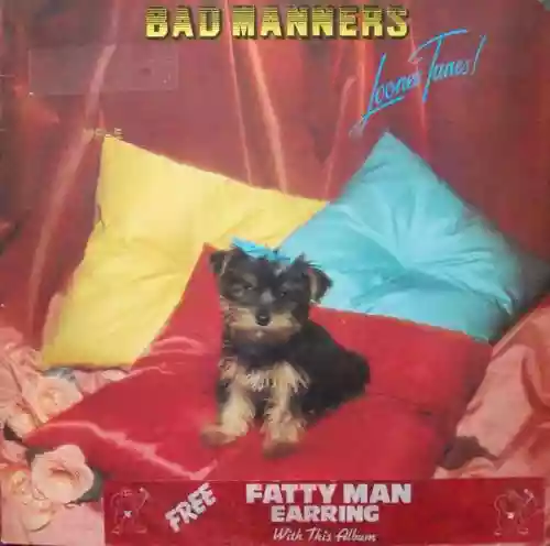 Cover Bad Manners - Loonee Tunes!