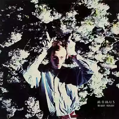 Momus: Tender Pervert