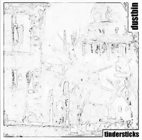 Cover Tindersticks - Dustbin