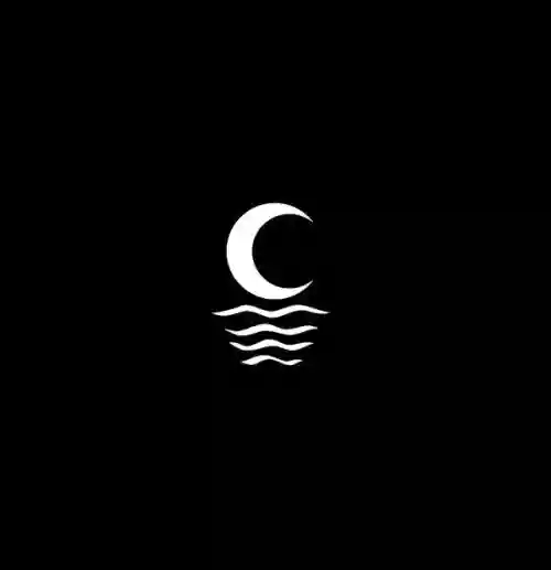Cover I Love You but I've Chosen Darkness - Dust