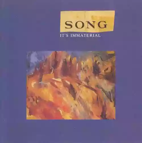 Cover It's Immaterial - Song