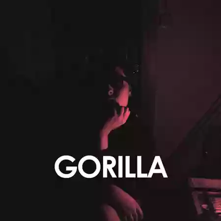 Velvet Morning: Gorilla