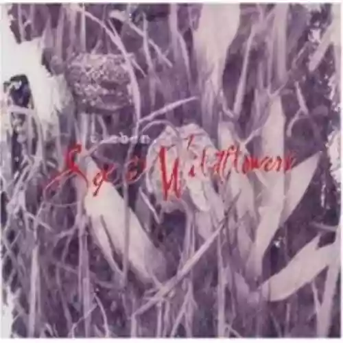 Cover di Sex and Wildflowers