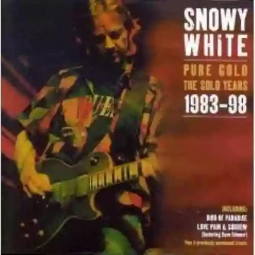 Cover di Pure Gold - The Solo Years 1984-1998