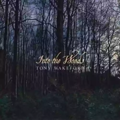 Cover di Into the Woods