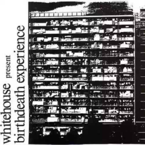 Cover Whitehouse - Birthdeath Experience