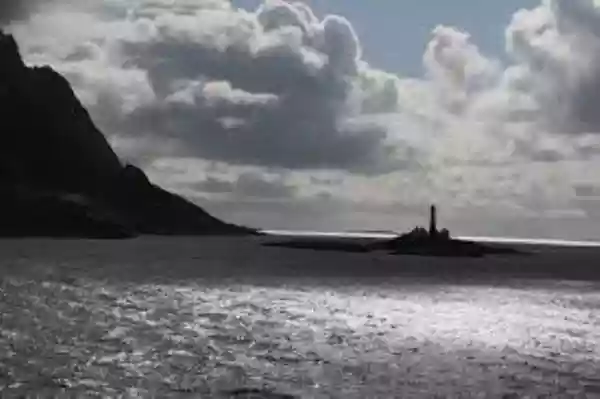 editoriale di ALFAMA