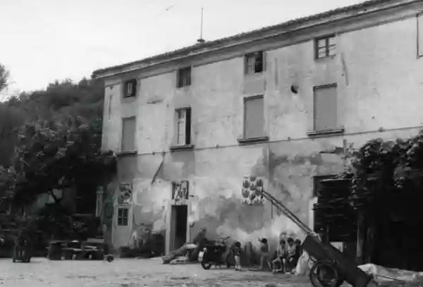 editoriale di iside