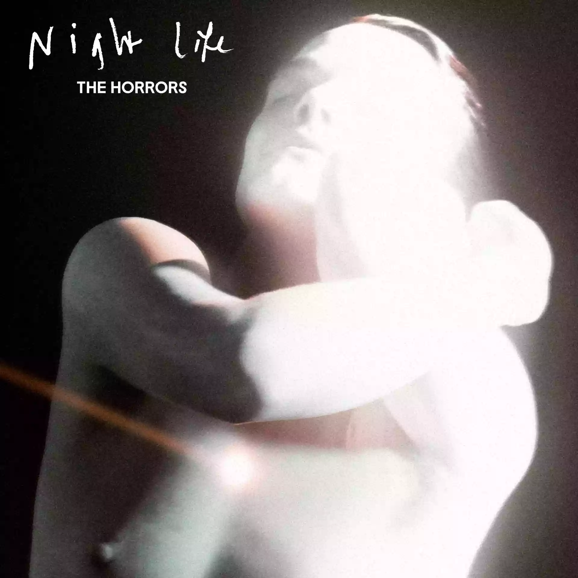 Copertina di The Horrors Night Life