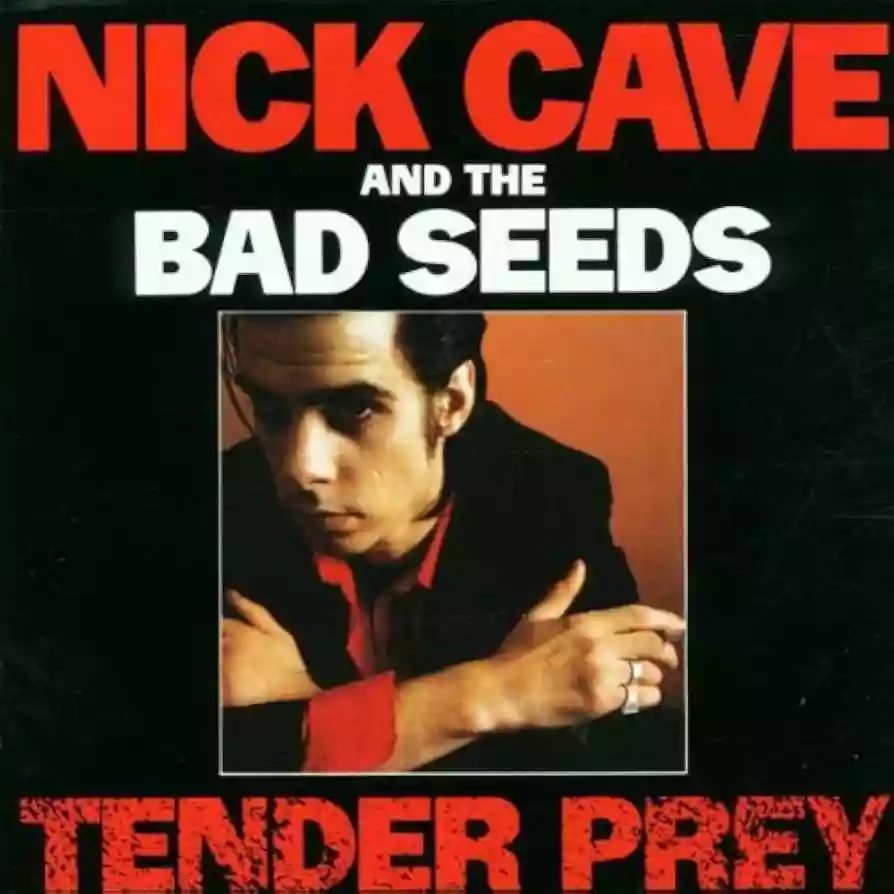 Copertina di Nick Cave & The Bad Seeds Tender Prey
