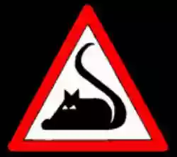 I Ratti Della Sabina Cantiecontrocantiincantina I Ratti Della Sabina Recensione di